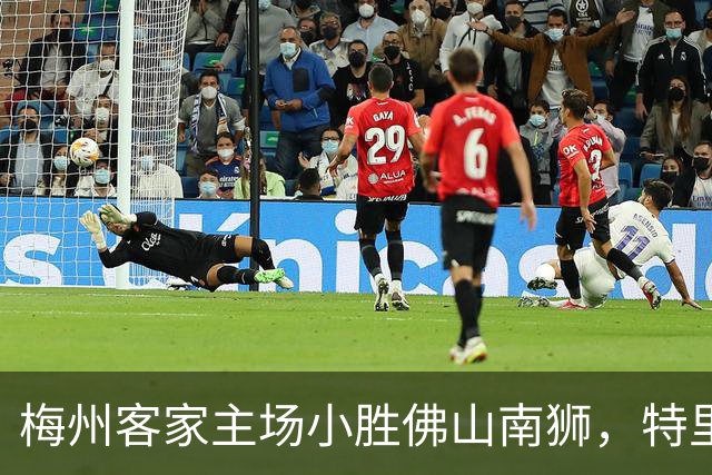 梅州客家主场小胜佛山南狮，特里布莱点球破门